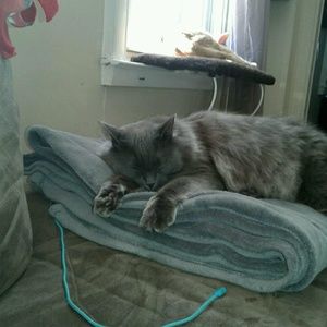 Meet your Posher, Ana